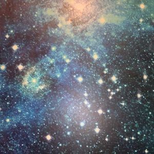 Meet your Posher, Adison